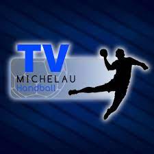 Logo TV Michelau